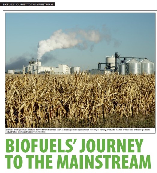 Increasing biofuel use